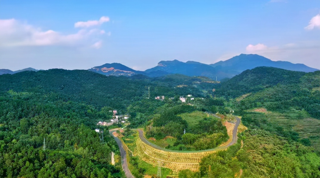 全国低碳日 新洲区将军山获评武汉市首批碳中和林基地