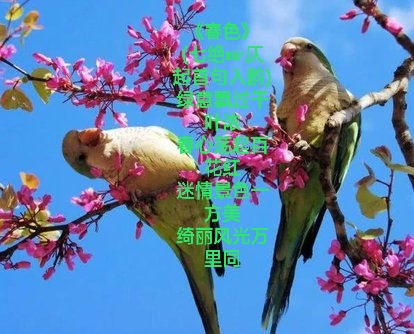 写给春天的情诗！-第6张图片-非凡网