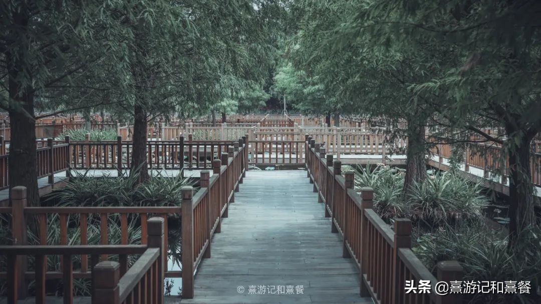 去了八次廈門之后，告訴你這30件事最值得