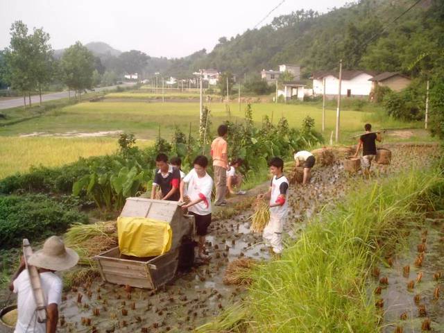 近日“浪费一粒米做一道题”的帖子被刷屏，真的可取吗？值得深思