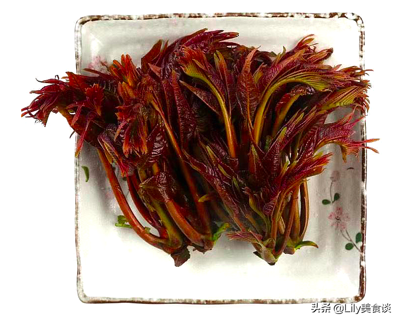 图片[4]-香椿“红叶”和“绿叶”区别 的 弄懂不出-起舞食谱网