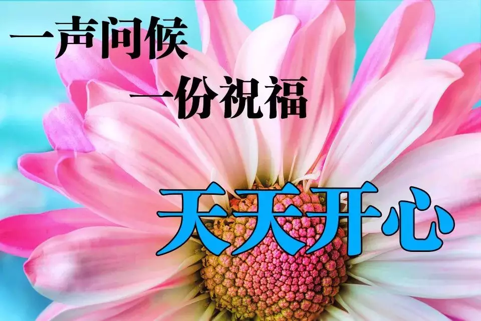 早上好问候语图片大 早晨祝福语表情图片