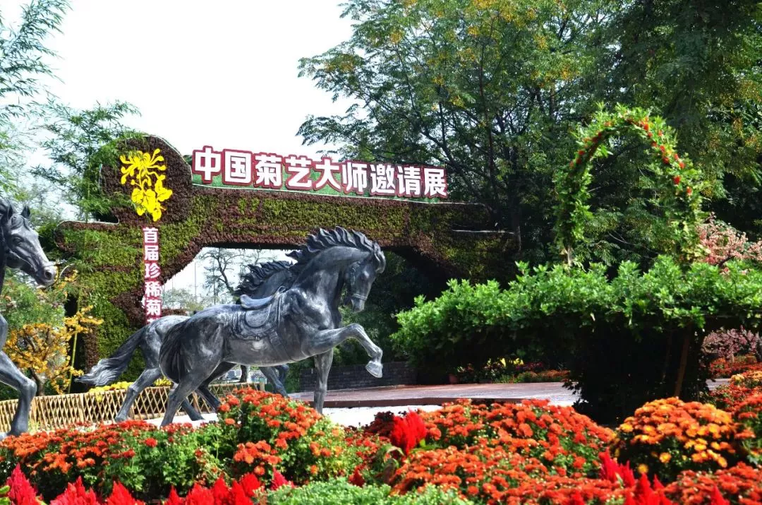 中国开封第38届菊花文化节开幕