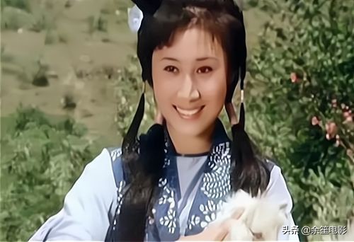 80年代當(dāng)紅女星丁嵐，巔峰時移民新加坡，如今她過得怎么樣了？