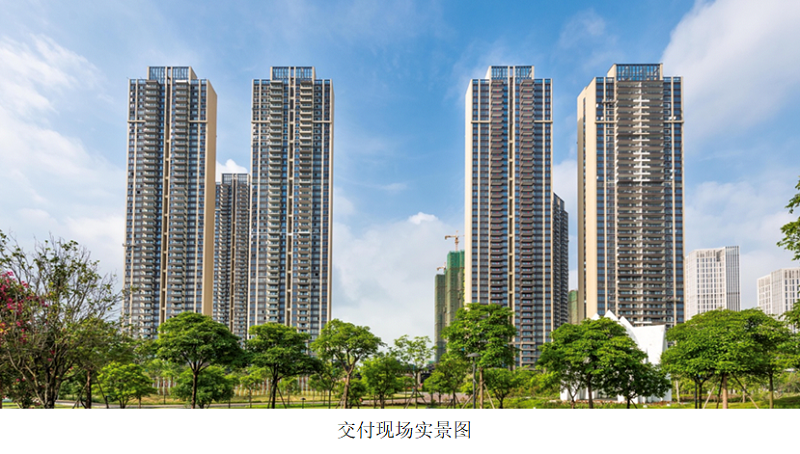 佛山院子收房业主：做好准备来的，还是被震撼到