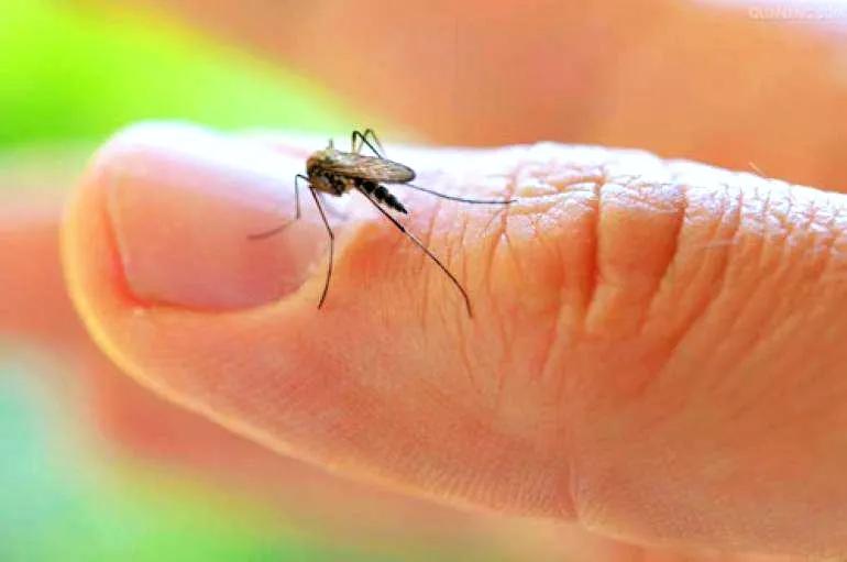人類的禁區，動植物的天堂，亞馬遜雨林到底有多恐怖？