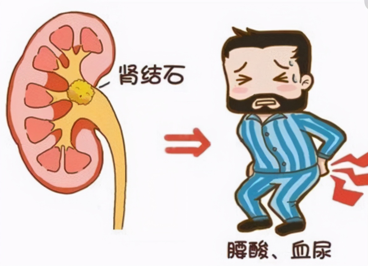 ���ڳ��غò��ã���ʳ����α���Ӫ����ȱ����