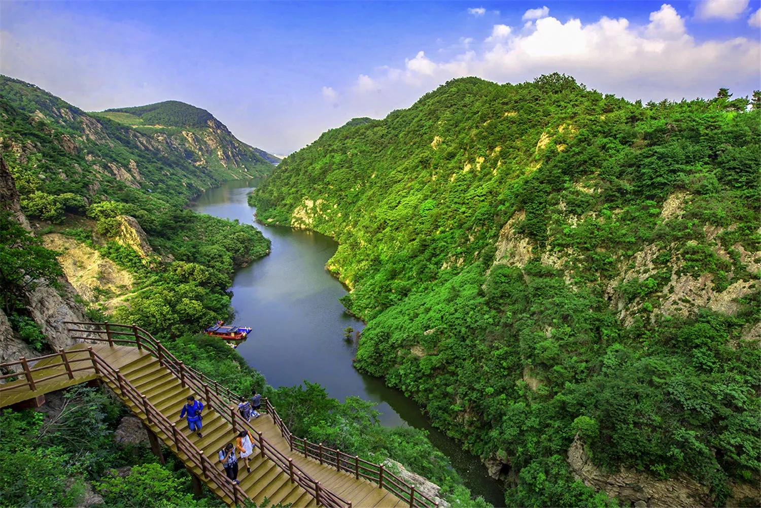 五蓮九戒壯黑豬散養(yǎng)基地