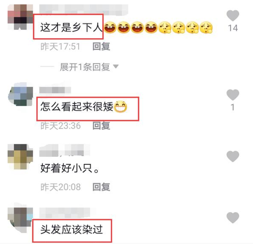 53岁那英短发近照曝光，因身材矮小遭网友点评：这才是乡下人