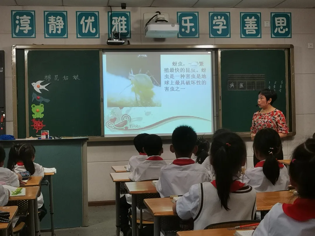 成都天府新区大林小学——名师示范 专业引领(图2)