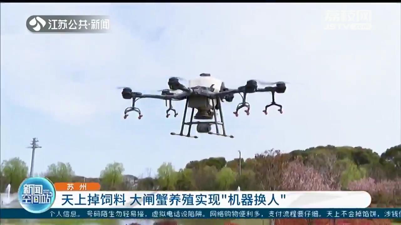 天上掉饲料！苏州大闸蟹养殖实现&ldquo;机器换人&rdquo;