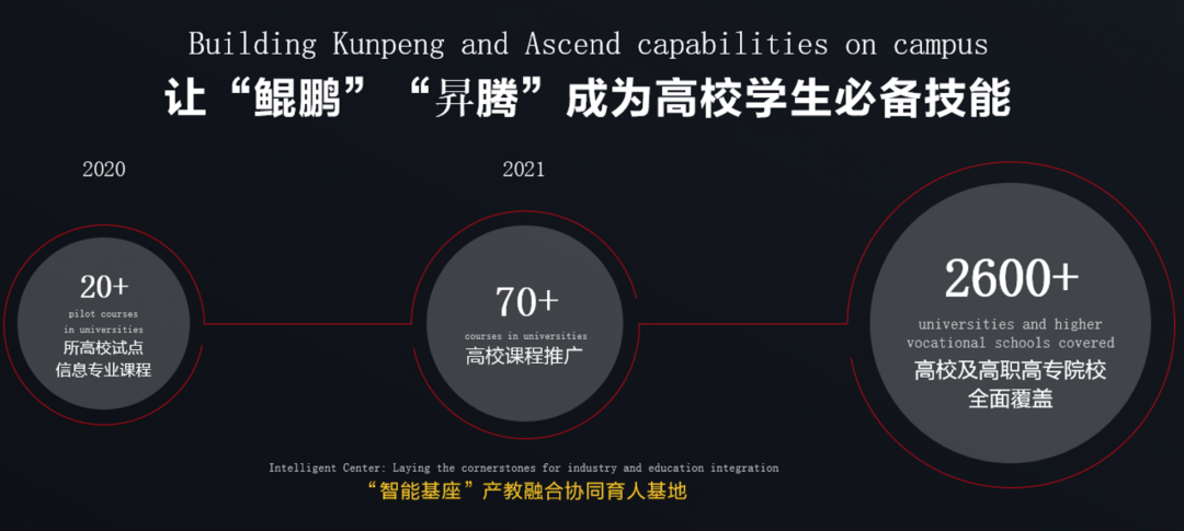 华为昇腾的另一面