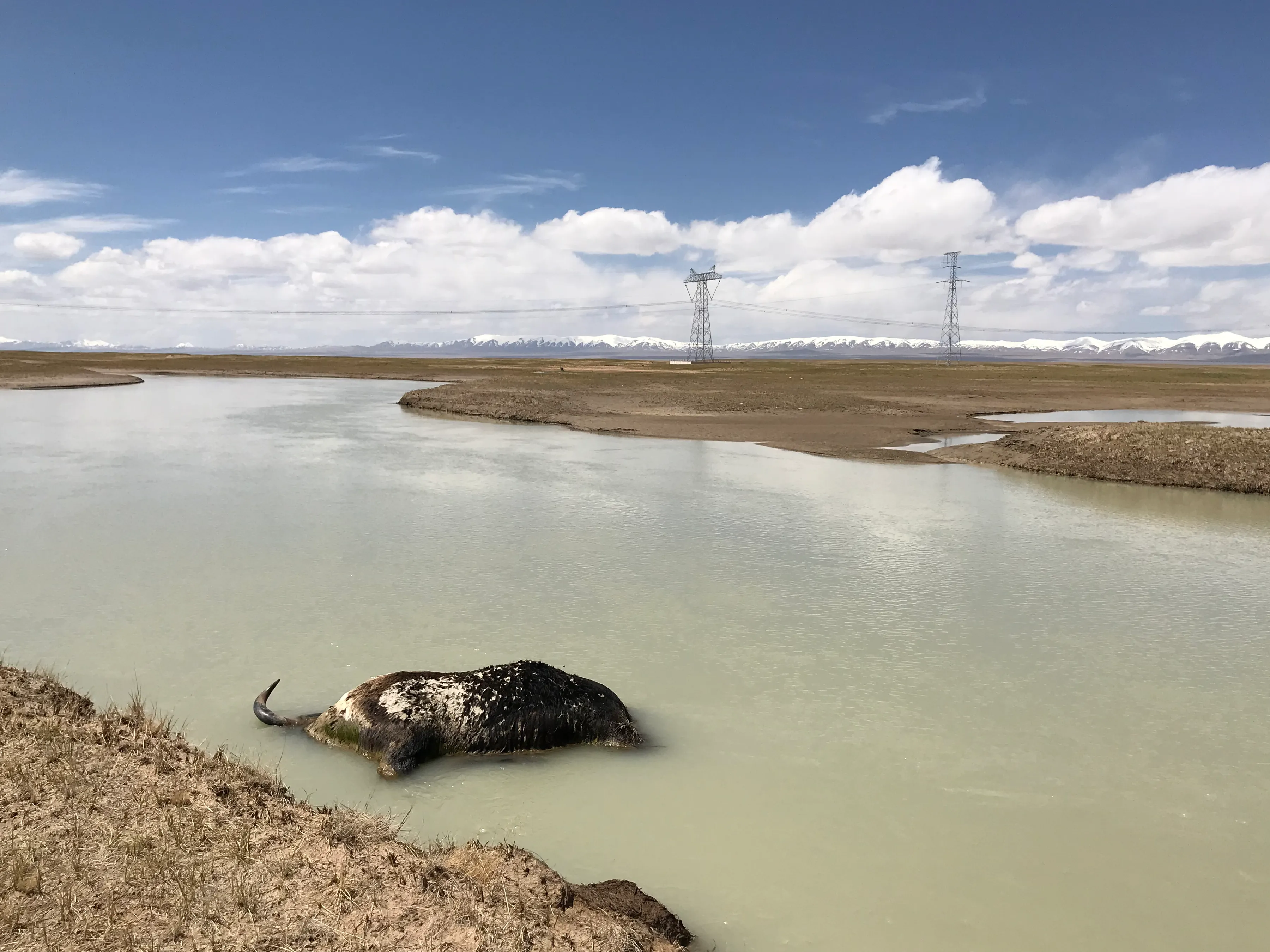 Colorful Qaidam (6) Golmud