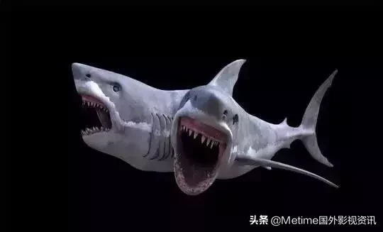 推荐四部跟鲨鱼有关的欧美电影,我最喜欢大白鲨系列
