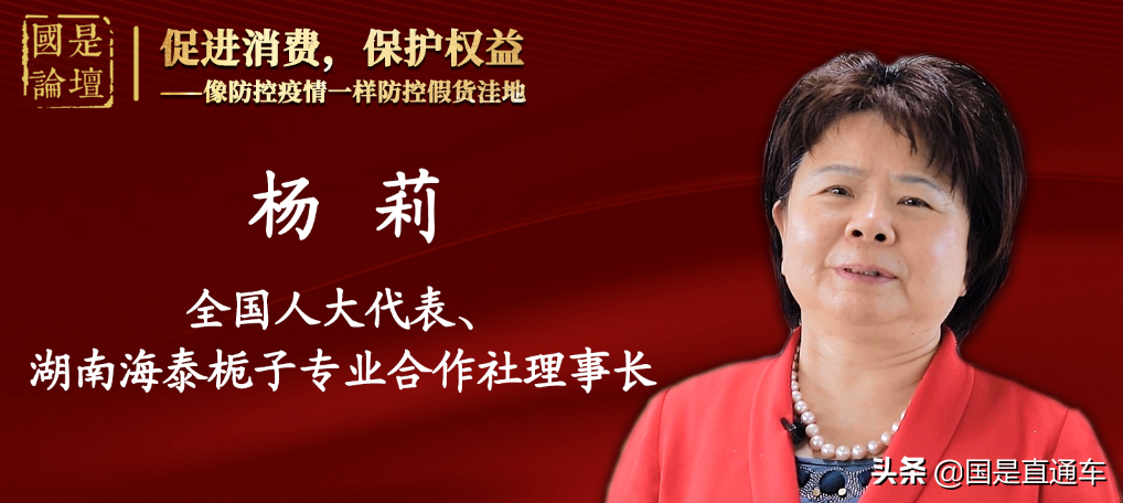 国是看两会 | 重磅访谈：像防控疫情一样防控假货洼地