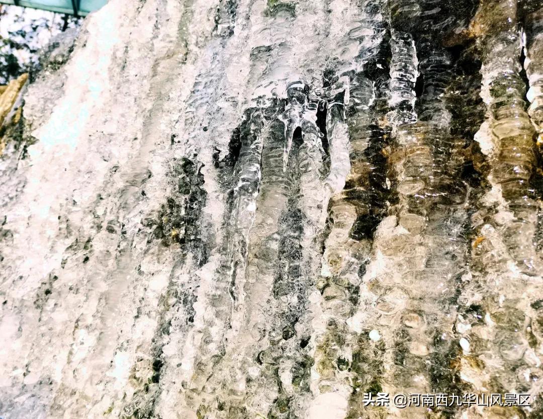 冰瀑、冰挂！来龙津溪地见证冬的魅力