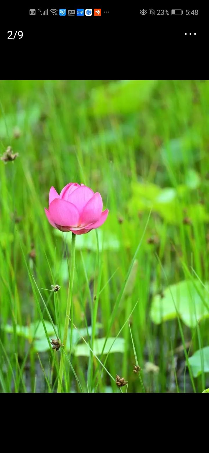 个人自媒体如何走出困境？从哲学的角度思考