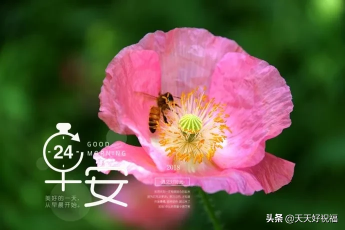 十三|2021年正月十三早上好问候语图片大全 2021最美早上好动态表情图片