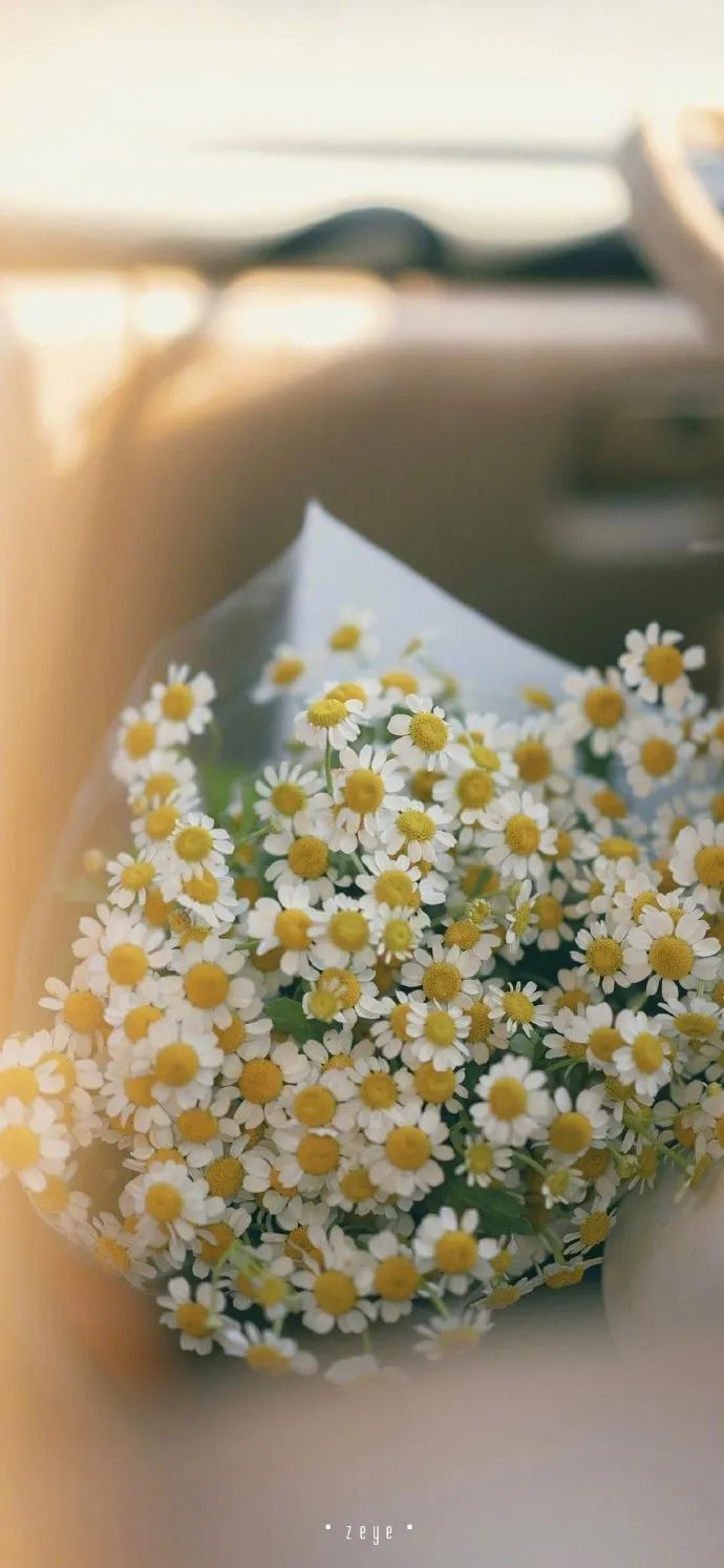 晚安|温暖治愈晚安心语句子，简短精湛适合睡前发朋友圈