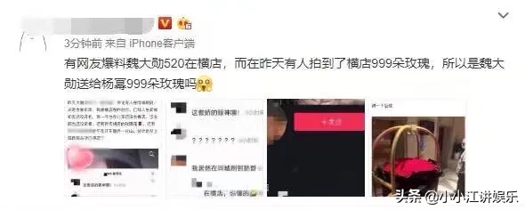 魏大勋520送999朵玫瑰给杨幂，双方默认恋情，坐