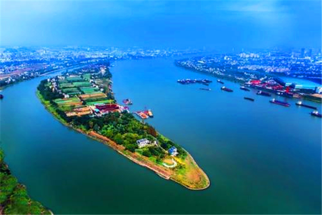 清华教授薛澜：过去累积的问题再不下决心解决，成本会更高