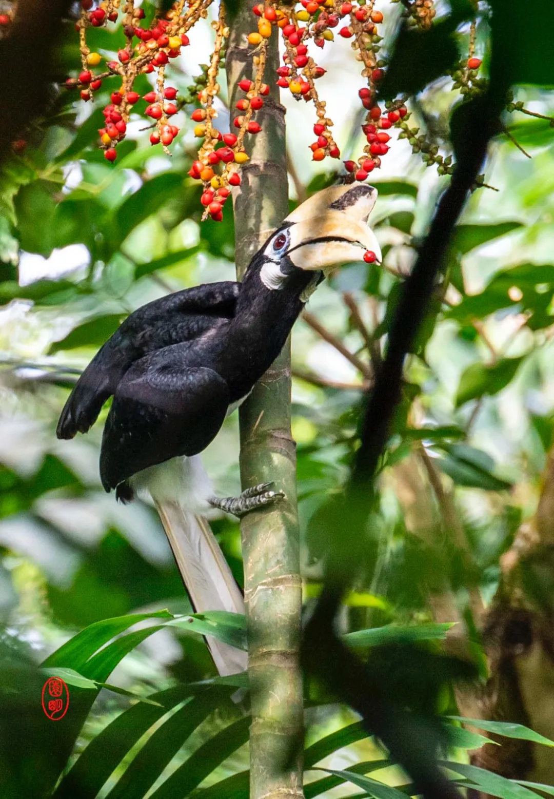 犀鸟 不准进产房 其他 爆资讯新媒体平台