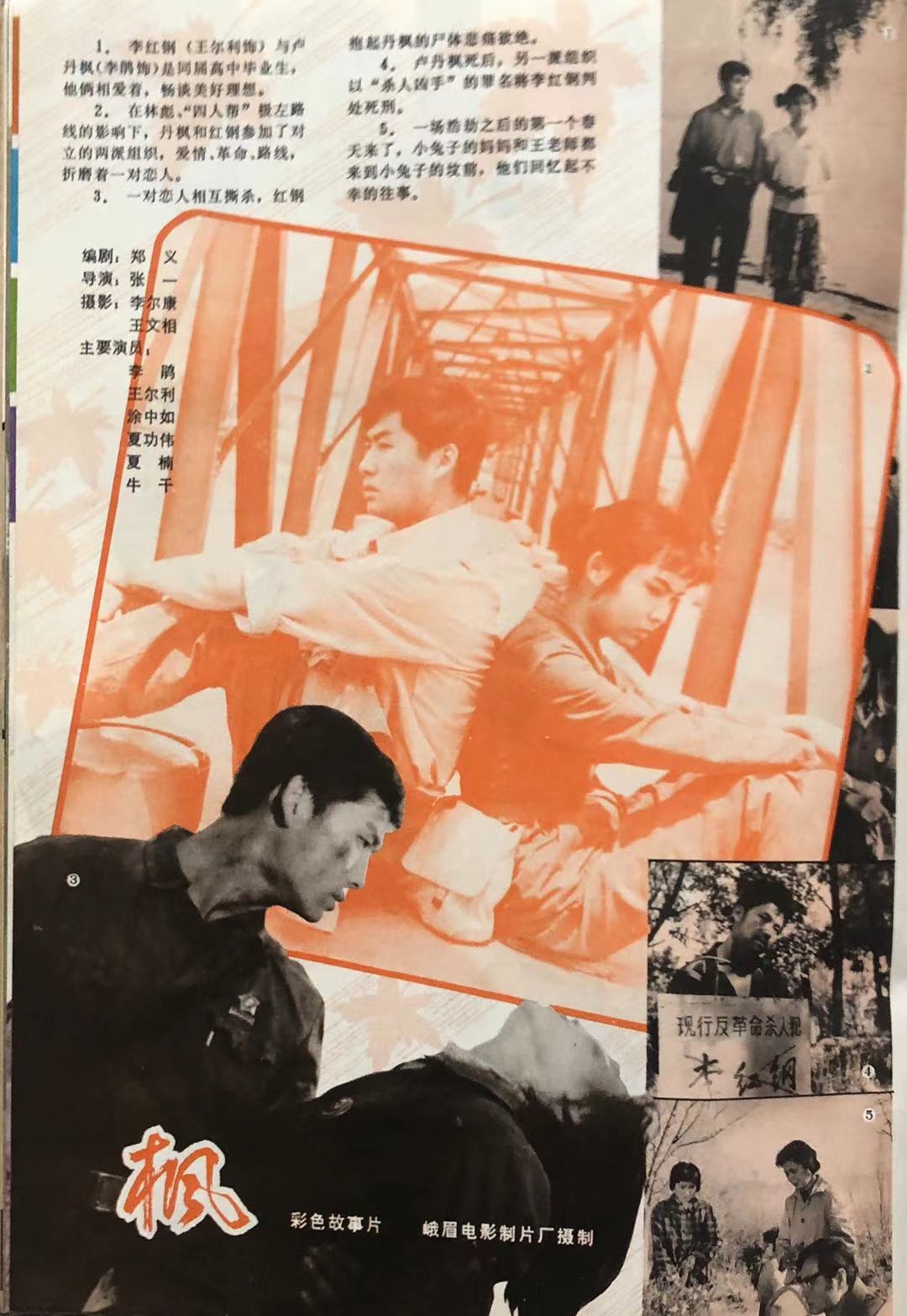 枫(1980年张一执导电影)_搜狗百科