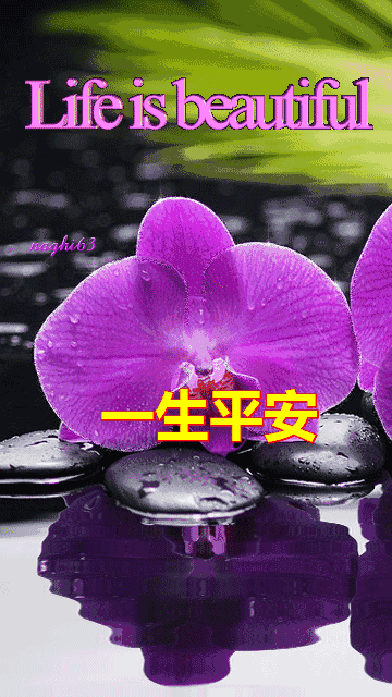 一心一意|正月十一一心一意的祝福送给群里的朋友 越早打开越幸福