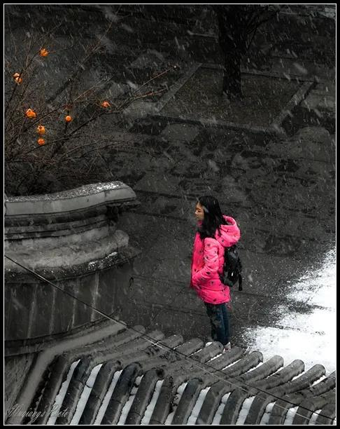 津门网吴强:《光影四九城》之三十八红墙白雪