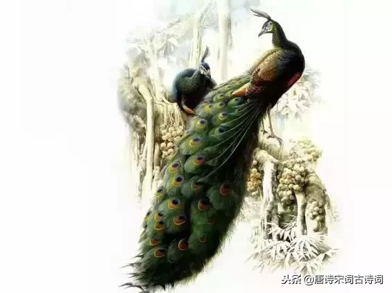 让你振奋一整年的励志诗词名句,收藏一下吧-第3张图片-非凡网 让你振奋一整年的励志诗词名句,收藏一下吧-第3张图片-非凡网