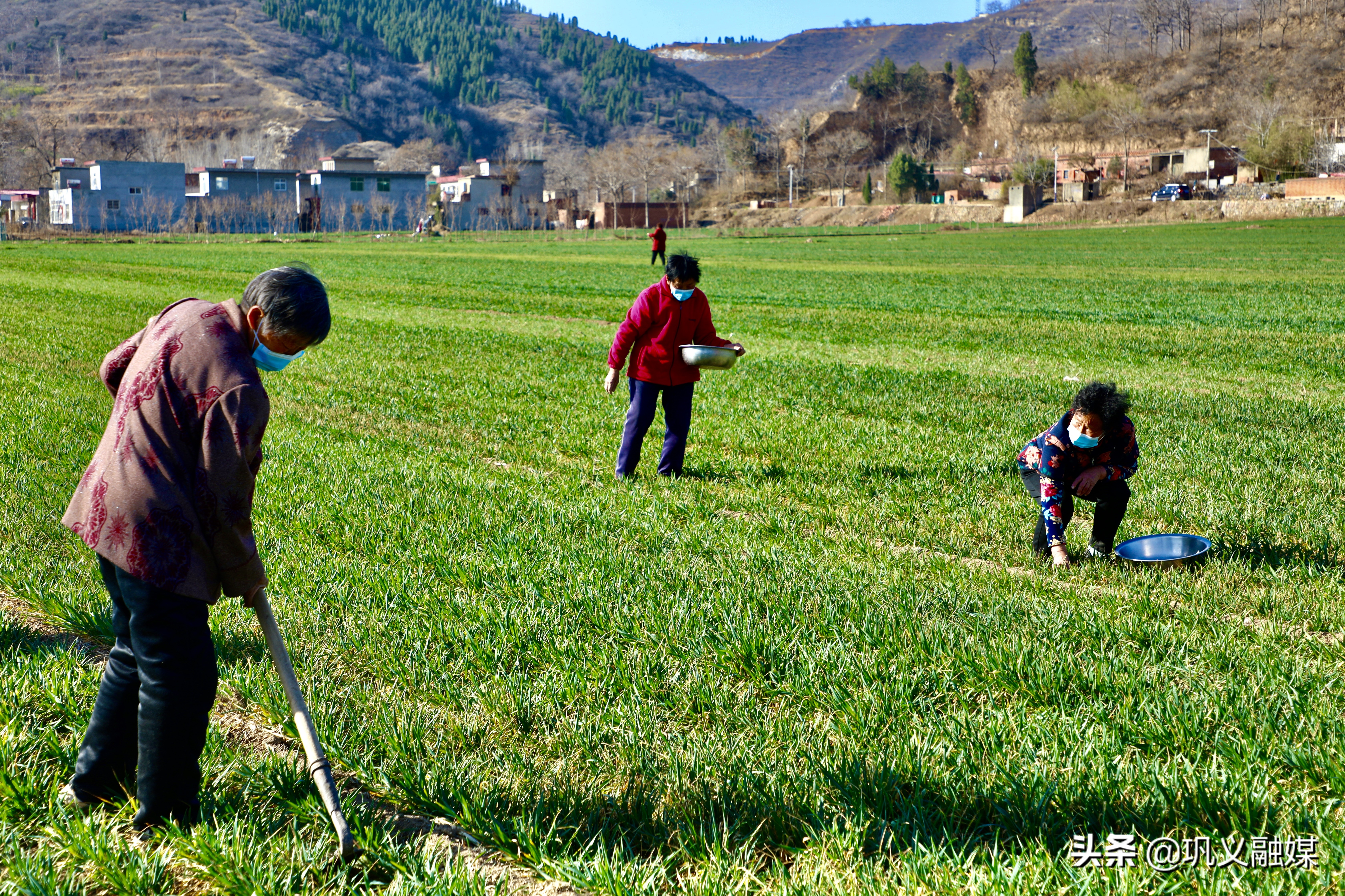 巩义农民忙春耕