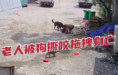 福建一71岁老人被恶犬持续发酵，家属拒绝赔偿：很气愤狗还活着