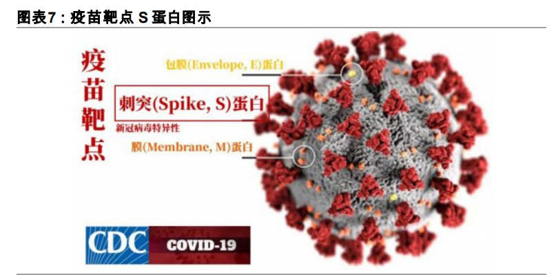疫苗行业专题报告：一文读懂新冠疫苗全球竞赛