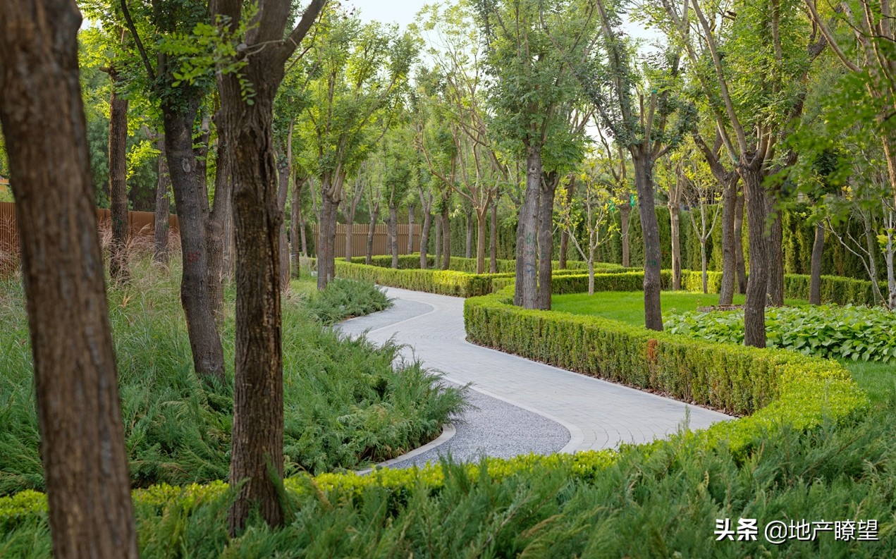 音乐盛事｜亚洲国际爱乐顶级交响乐艺术家献演