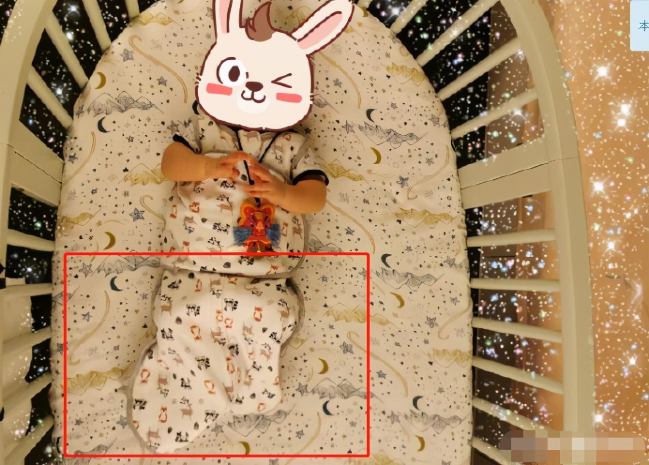 郎朗吉娜新手爸妈引争议，为拍照掰开宝宝手指