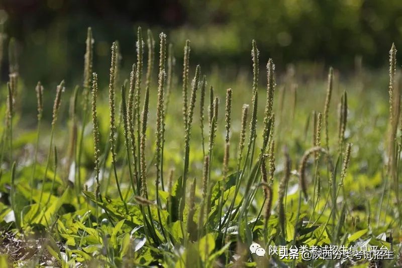 西安-丝路新韵 华夏故都 | 西安职业技术学院