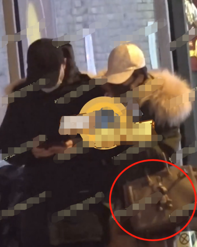 新恋情？文章与妙龄女子挽手并肩轧马路，真容曝光清纯远胜马伊琍