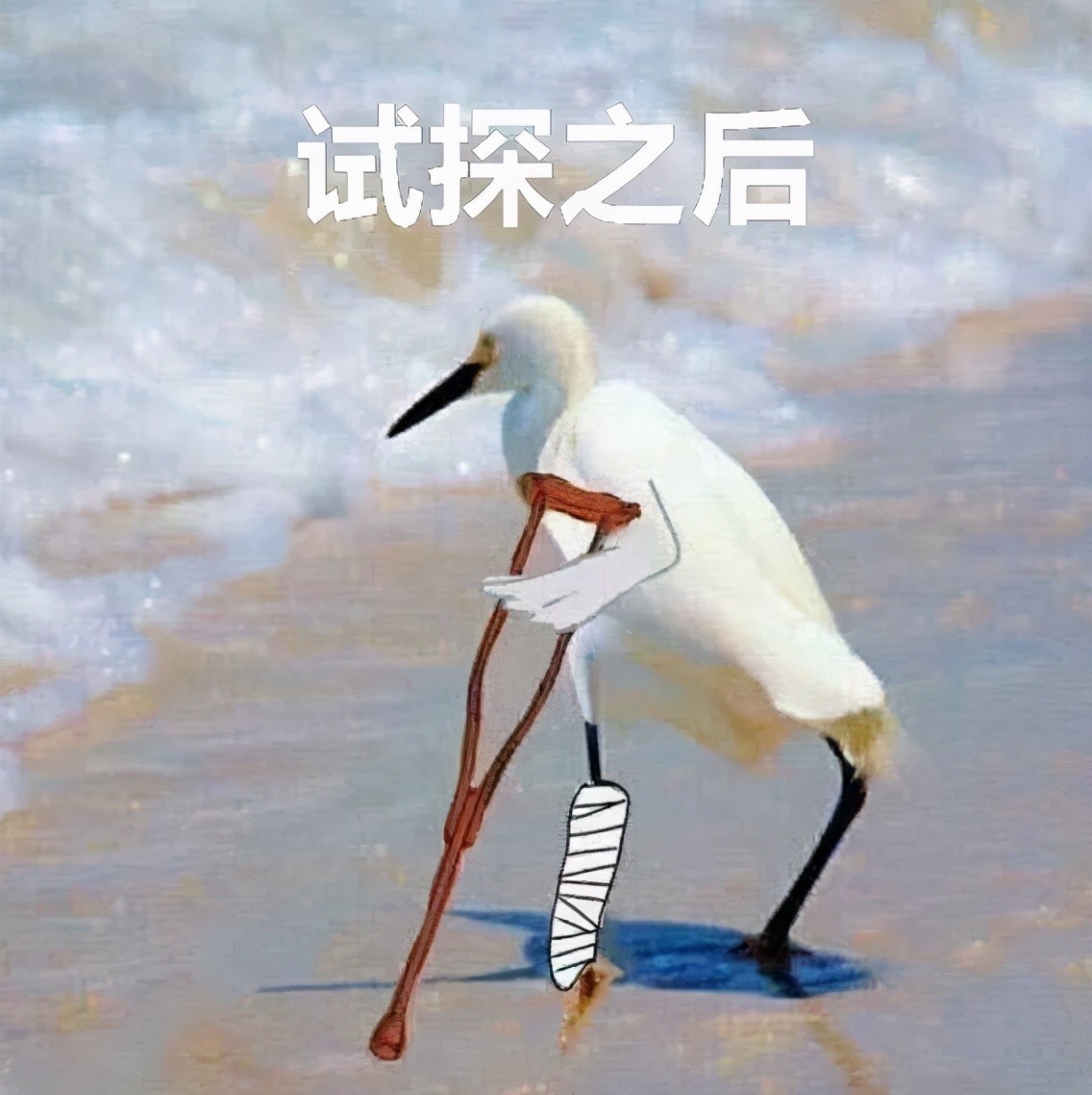 大河报汽车网