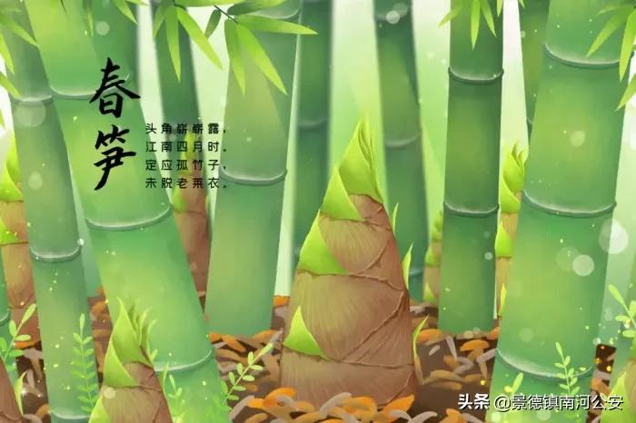 春日古诗词：花已初开，愿君常在-第1张图片-诗句网