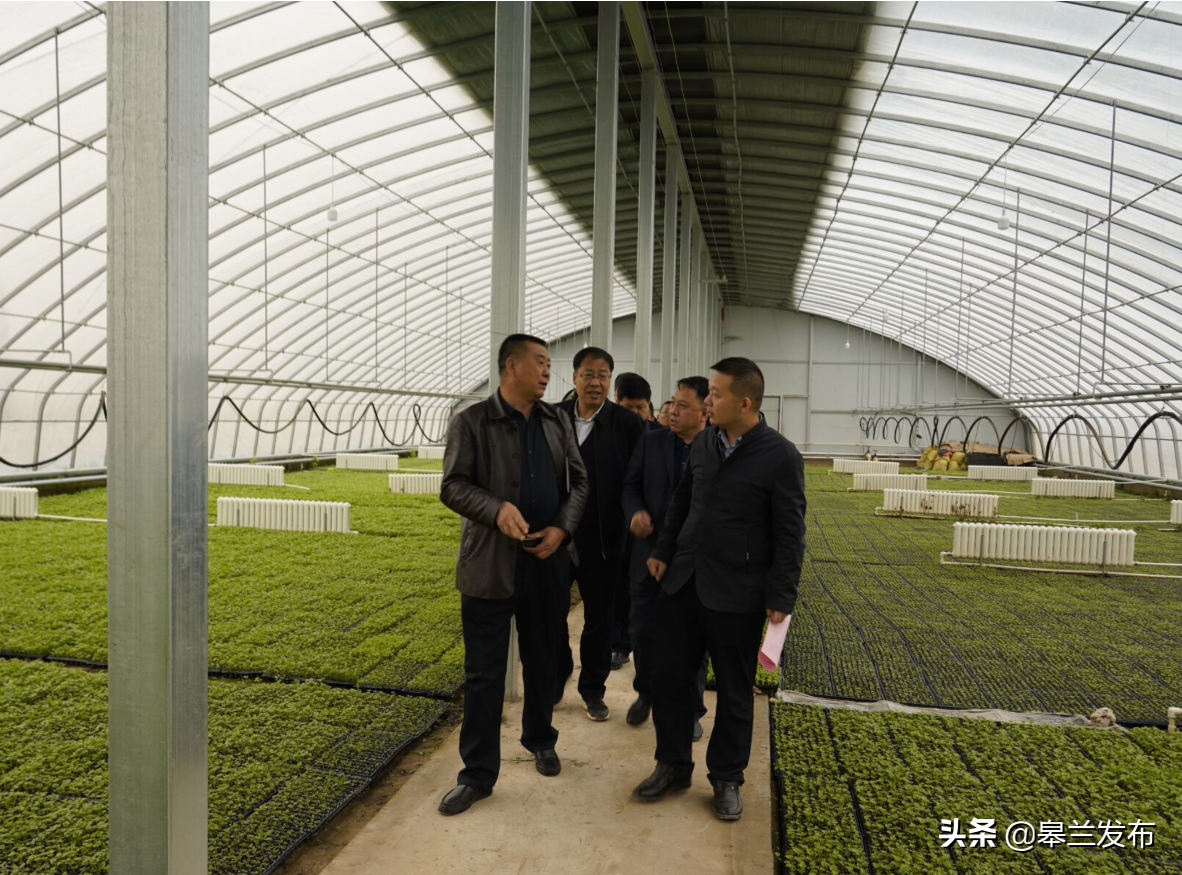 康石一行先后深入九合镇兰沟村,忠和镇六合村,石洞