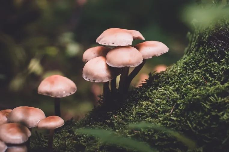 严质量抢时间！1月11日起22家优质企业精准对接全国政府园区
