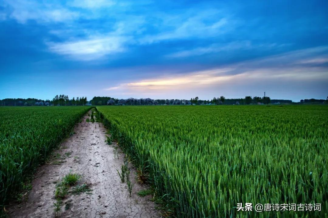 走在乡间的小路上-第2张图片-非凡网 走在乡间的小路上-第2张图片-非凡网