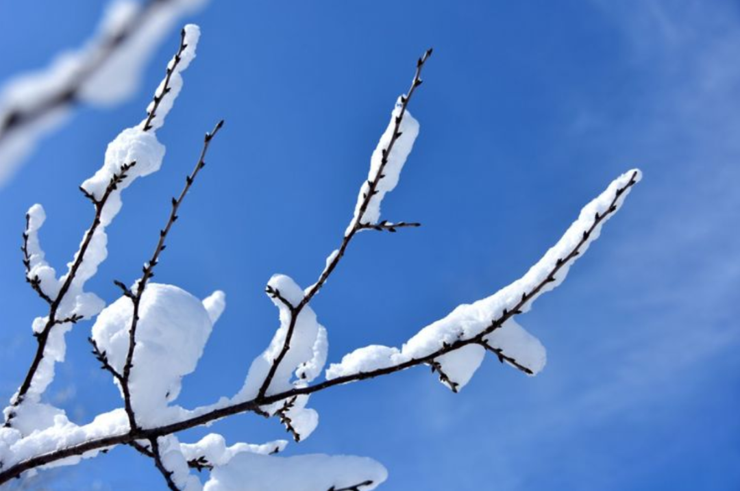 遇见最美的冬天，遇一场雪，在最美的诗词里遇雪-第16张图片-诗句网