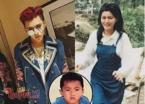 据爆吴亦凡妈妈半个月睡15个小时 到处求救 向成