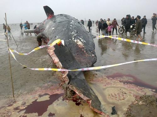 十八年后还是一条好汉,大家对于死亡有什么看法?