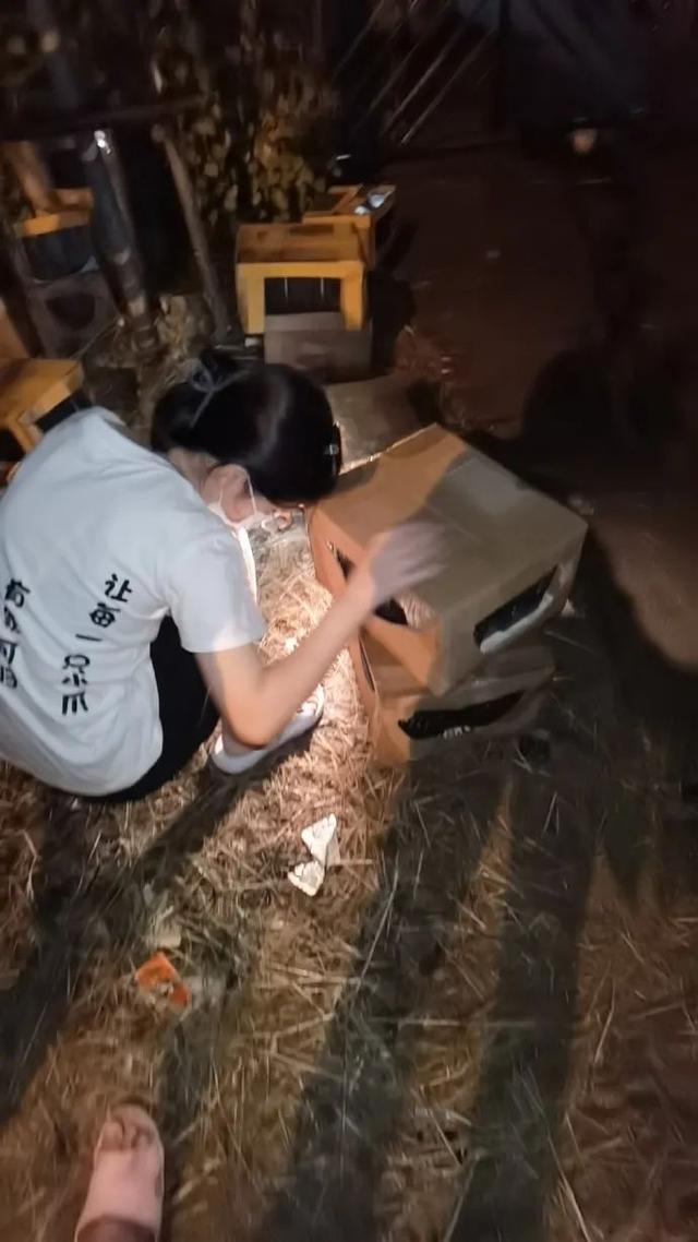 100多只猫狗奄奄一息！宠物盲盒，为何还不消停？