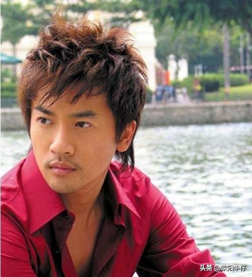 苏有朋多才多艺，品学兼优有魅力，是影视乐三