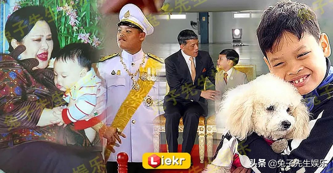 提帮功奉母之命，“装傻”6年瞒天过海，骗过苏