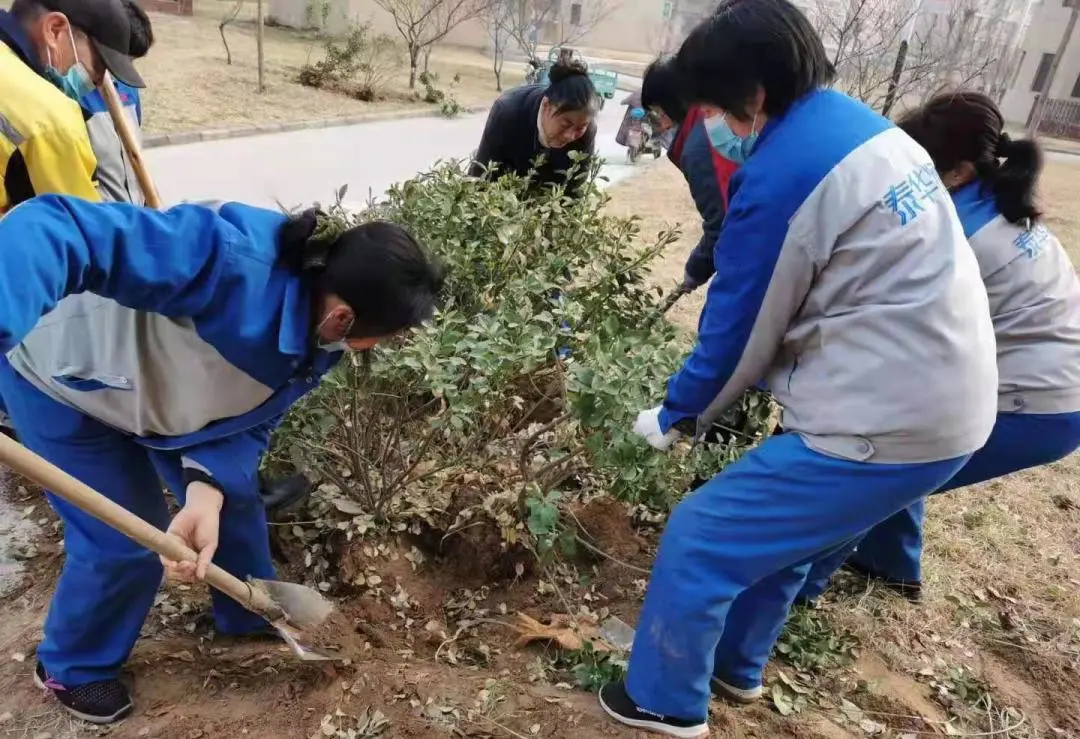 「泰华生活服务·植树节」让我们一起行动起来