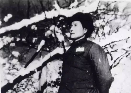 秦基伟对王近山发火：15军决不下阵地！这一战，